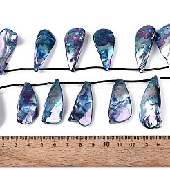 AB Color Plated Dyed Natural Freshwater Shell Beads Strands&nbsp;X-SHEL-T020-55C