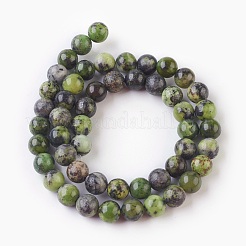 Natural Serpentine Beads Strands&nbsp;G-G767-05-8mm