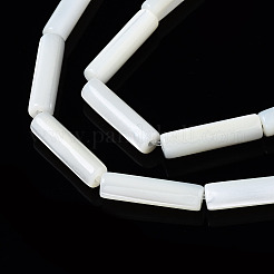 Natural Trochid Shell/Trochus Shell Beads Strands&nbsp;X-SSHEL-S266-020A-03