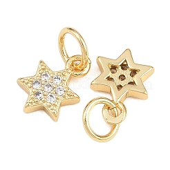 Brass Micro Pave Cubic Zirconia Pendants&nbsp;ZIRC-K070-41G