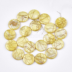 Freshwater Shell Beads Strands&nbsp;SHEL-S274-62
