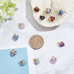 12Pcs 6 Styles Natural Gemstone Charms&nbsp;G-NB0003-74