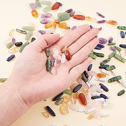 Natural Gemstone Chips Beads&nbsp;G-PH0034-20