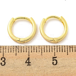 Brass Hoop Earrings&nbsp;EJEW-L211-14G