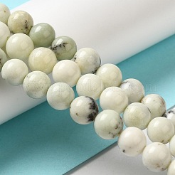 Natural Dendritic Jasper Beads Strands&nbsp;G-H298-A15-02