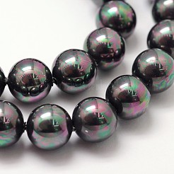 Shell Pearl Bead Strands&nbsp;BSHE-L025-05-8mm