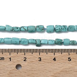 Dyed Natural Crackle Turquoise Beads Strands&nbsp;G-K365-G03-02