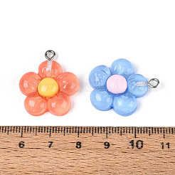 Transparent Resin Pendants&nbsp;RESI-N050-23P