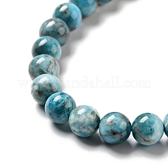 Natural Apatite Beads Strands&nbsp;X-G-G858-01A
