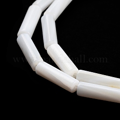 Freshwater Shell Beads Strands&nbsp;X-BSHE-L037-13