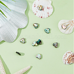 10Pcs Natural Abalone Shell/Paua Shell Beads&nbsp;SSHEL-FI0001-05