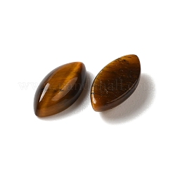 Natural Tiger Eye Cabochons&nbsp;G-F772-01B-10