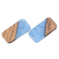 Resin & Walnut Wood Pendants&nbsp;RESI-S389-049B