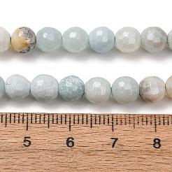 Electroplated Natural Flower Amazonite Beads Strands&nbsp;G-B191-A03-6mm