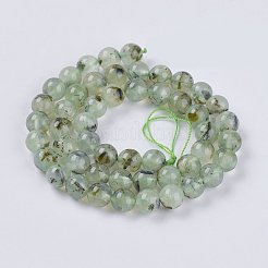 Natural Prehnite Beads Strands&nbsp;G-G457-8mm-03