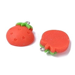 12Pcs 12 Styles Opaque Resin Pendants&nbsp;RESI-V001-04