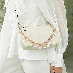 Swivel Clasp Purse Strap Extenders&nbsp;DIY-PH0013-27