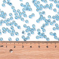 6/0 Glass Seed Beads&nbsp;SEED-T006-04C-06