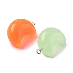 Luminous Resin Pendants&nbsp;RESI-Z038-01P-02