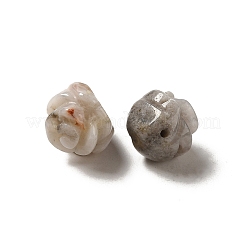 Natural Crazy Lace Agate Carved Flower Scattered Beads&nbsp;G-O156-B-23
