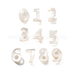 10Pcs 10 Styles Natural Freshwater Shell Beads&nbsp;BSHE-Z008-11