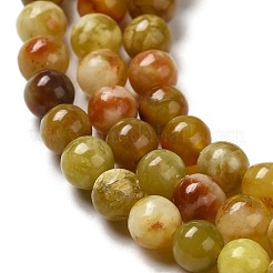 Natural Serpentine Beads Strands&nbsp;G-H298-A10-01