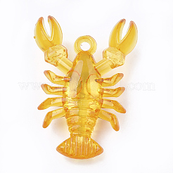 Transparent Acrylic Pendants&nbsp;TACR-S149-02