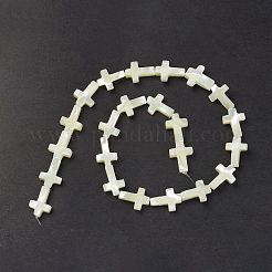 Natural Trochid Shell/Trochus Shell Beads Strands&nbsp;SSHEL-K027-06