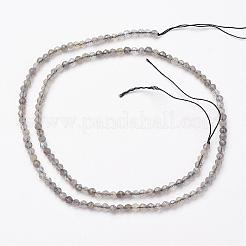 Natural Labradorite Bead Strands&nbsp;G-P213-38-3mm
