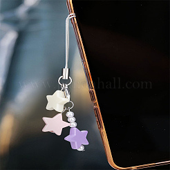 1Pc Resin with Alloy and Nylon Cord Mobile Accessories Decoration&nbsp;HJEW-LP0002-12D