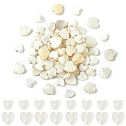 30Pcs Natural Freshwater Shell Beads&nbsp;SHEL-YW0001-18