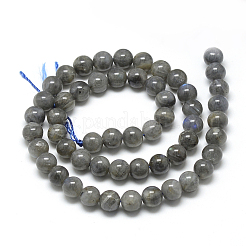 Natural Labradorite Beads Strands&nbsp;X-G-R446-8mm-14