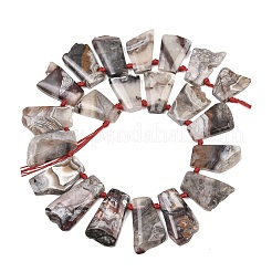 Natural Mexican Crazy Lace Agate Beads Strands&nbsp;G-B196-A01-01