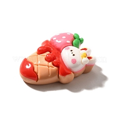 Rabbit Theme Opaque Resin Cabochons&nbsp;CRES-U004-04C