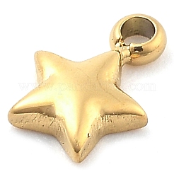Ion Plating(IP) 304 Stainless Steel Charms&nbsp;STAS-P379-06A-G
