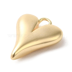 Brass Pendants&nbsp;KK-G481-17G