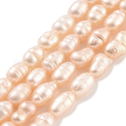 Natural Cultured Freshwater Pearl Beads Strands&nbsp;PEAR-P062-01B
