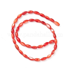 Natural Freshwater Shell Dyed Beads Strands&nbsp;SHEL-M018-13-05