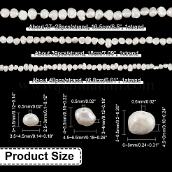 3 Strands 3 Styles Natural Cultured Freshwater Pearl Beads Strands&nbsp;PEAR-NB0002-09
