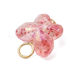 Transparent Acrylic Beads with Iron Flat Head Pins Pendants&nbsp;PALLOY-JF03597
