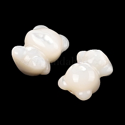 Natural White Shell Beads&nbsp;SSHEL-I026-10
