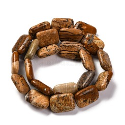 Natural Picture Jasper Beads Strands&nbsp;G-T047-B07-01