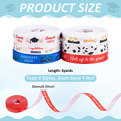 6 Rolls 6 Colors Polyester Ribbon&nbsp;OCOR-UN0001-12