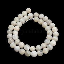 Natural White Moonstone Beads Strands&nbsp;G-L664-A01-8mm