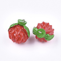 Resin Pendants&nbsp;LS-RESI-T028-29