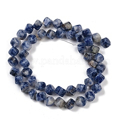 Natural Blue Spot Jasper Beads Strands&nbsp;G-A257-A15-01