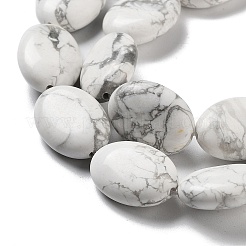 Natural Howlite Beads Strands&nbsp;G-P528-M12-01