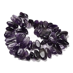 Natural Amethyst Beads Strands&nbsp;G-C253-05