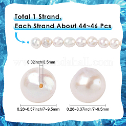 1 Strand Natural Nucleated Pearl Keshi Pearl Beads Strands&nbsp;PEAR-SC0001-40