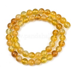 Handmade Lampwork Beads Strand&nbsp;LAMP-B056-8mm